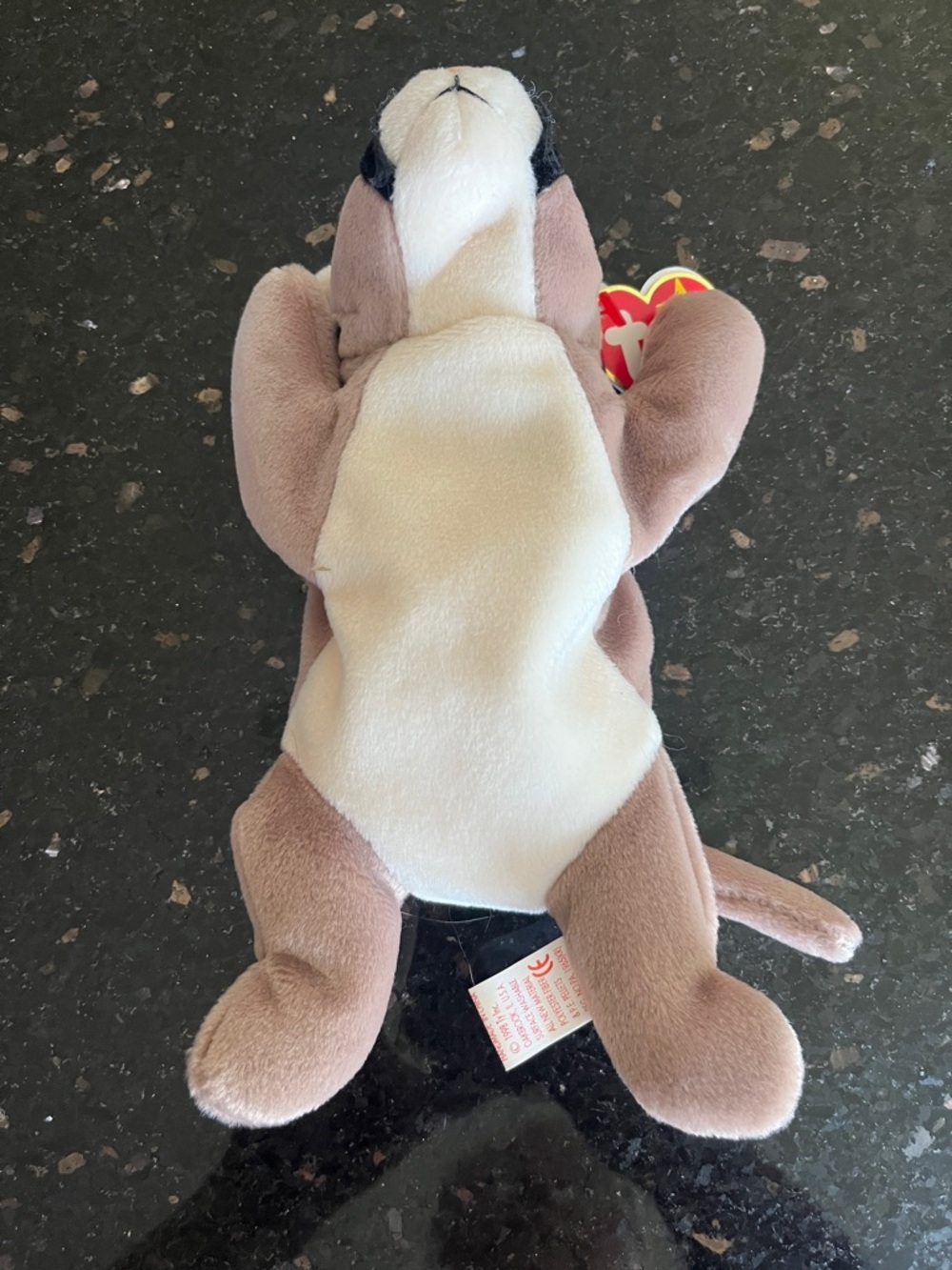 1998 Ty Beanie Baby Canyon May 29,1998 - Picture 3 of 5
